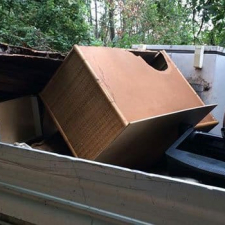 Tanti i rifiuti rimossi durante la giornata ecologica
