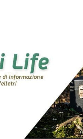 In trecento sull’Artemisio per la “Festa degli Alberi” in zona Turano