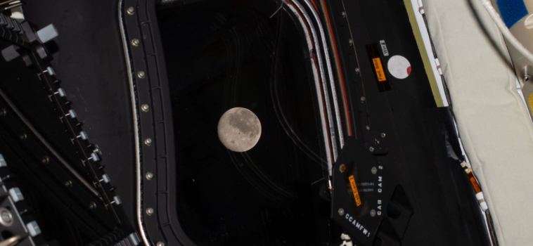 Artemis II in diretta: cronaca live del primo volo umano verso la Luna dal 1972