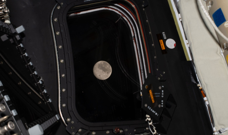 Artemis II in diretta: cronaca live del primo volo umano verso la Luna dal 1972